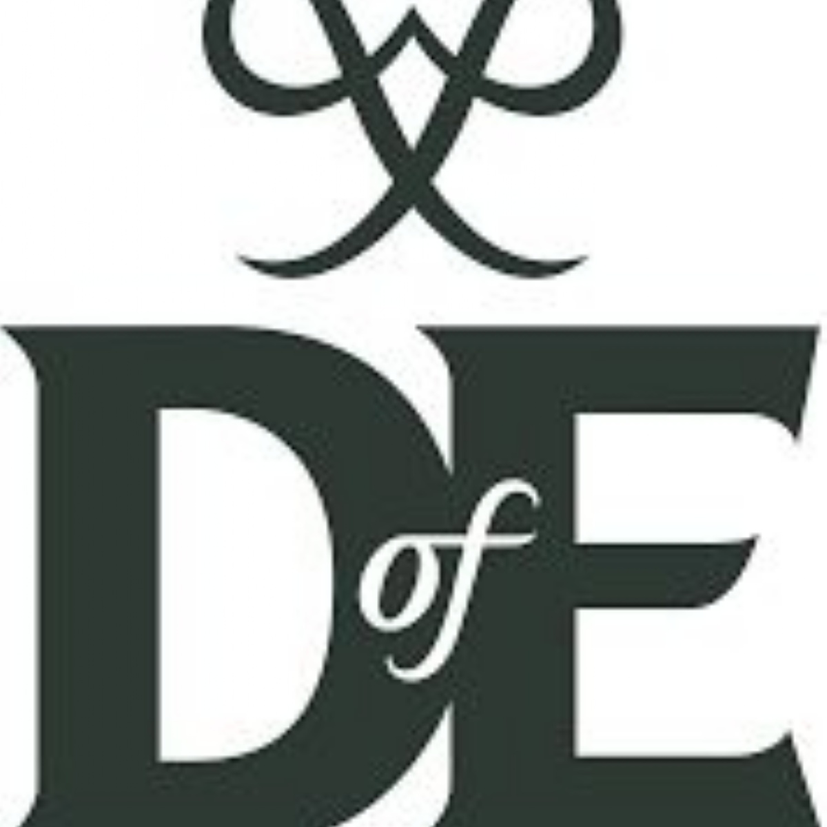 Walthamstow School for Girls - Duke of Edinburgh Award